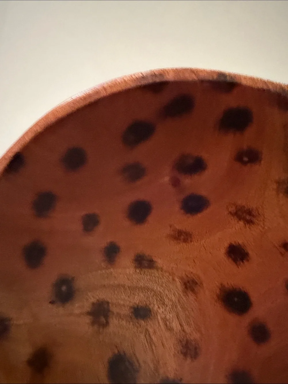 Artisan Signed Carved Rainforest Wood Decorative Bowl Belize Jaguar Mahogany